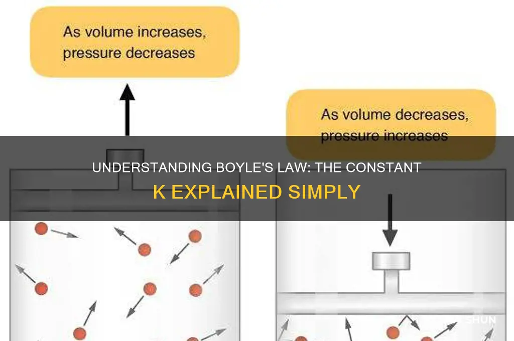 what is an expression of boyle