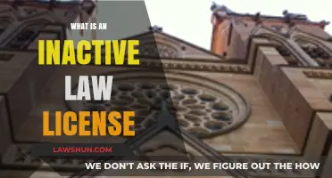 Inactive Law License: What Does It Mean?