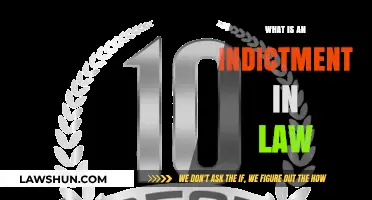 Understanding Indictments: A Comprehensive Guide to Legal Accusations