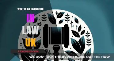 Understanding Injunctions: UK Law and Practice