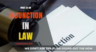 Understanding Injunctions: A Comprehensive Guide to Legal Restraints