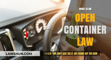 Understanding Open Container Laws: Legal Limits on Public Alcohol Consumption