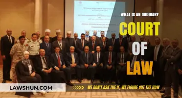 Understanding the Role and Function of an Ordinary Court of Law