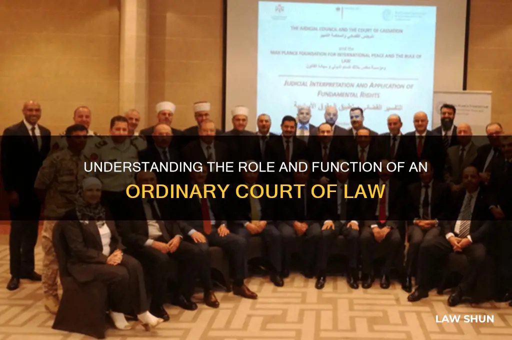 what is an ordinary court of law