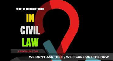 Understanding Undertakings in Civil Law: Definition, Purpose, and Legal Implications