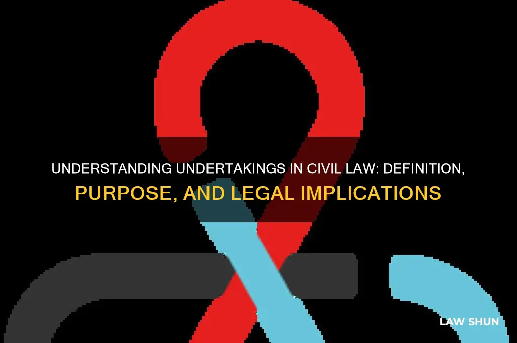 what is an undertaking in civil law