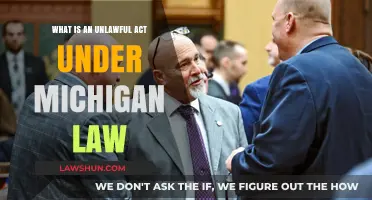 Understanding Unlawful Acts: Michigan Law Explained and Defined