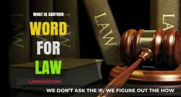 Exploring Synonyms: What's Another Term for 'Law'?