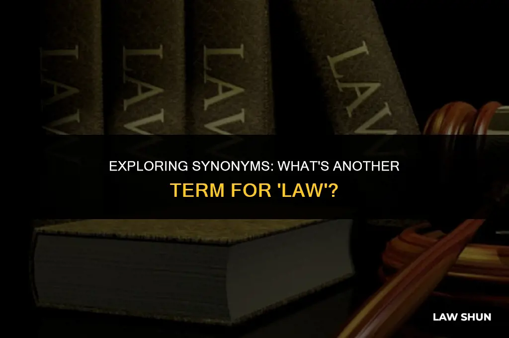 what is another word for law