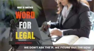 Exploring Synonyms: What's Another Term for 'Legal'?