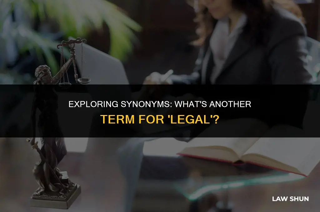 what is another word for legal