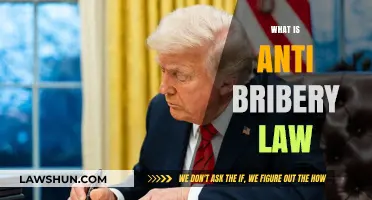 Understanding Anti-Bribery Laws: Compliance, Penalties, and Global Impact