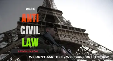 Understanding Anti-Civil Law: Definition, Implications, and Legal Consequences