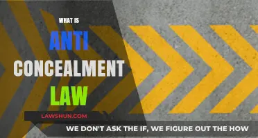 Understanding Anti-Concealment Laws: Purpose, Enforcement, and Legal Implications