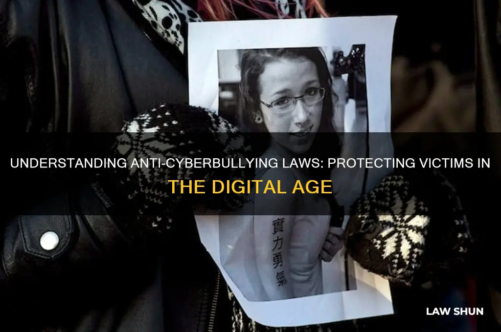 what is anti cyberbullying law