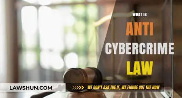 Understanding Anti-Cybercrime Laws: Protecting Digital Rights and Online Security
