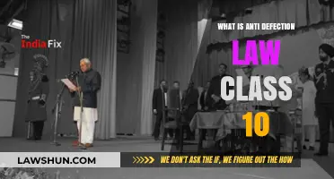 Understanding India's Anti-Defection Law: A Class 10 Civics Guide