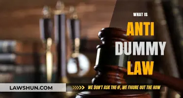 Understanding Anti-Dummy Law: Purpose, Provisions, and Legal Implications Explained