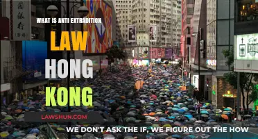 Understanding Hong Kong's Anti-Extradition Law: Origins, Impact, and Controversies