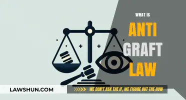 Understanding Anti-Graft Laws: Combating Corruption and Promoting Transparency
