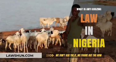 Understanding Nigeria's Anti-Grazing Law: Purpose, Impact, and Controversies Explained