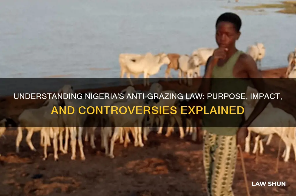 what is anti grazing law in nigeria