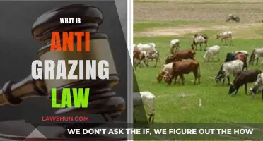 Understanding Anti-Grazing Laws: Purpose, Impact, and Controversies Explained