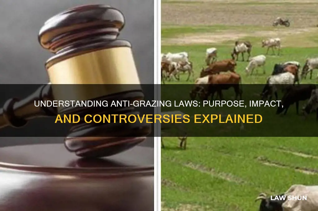 what is anti grazing law