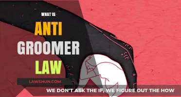 Understanding Anti-Groomer Laws: Protecting Children from Online Predators