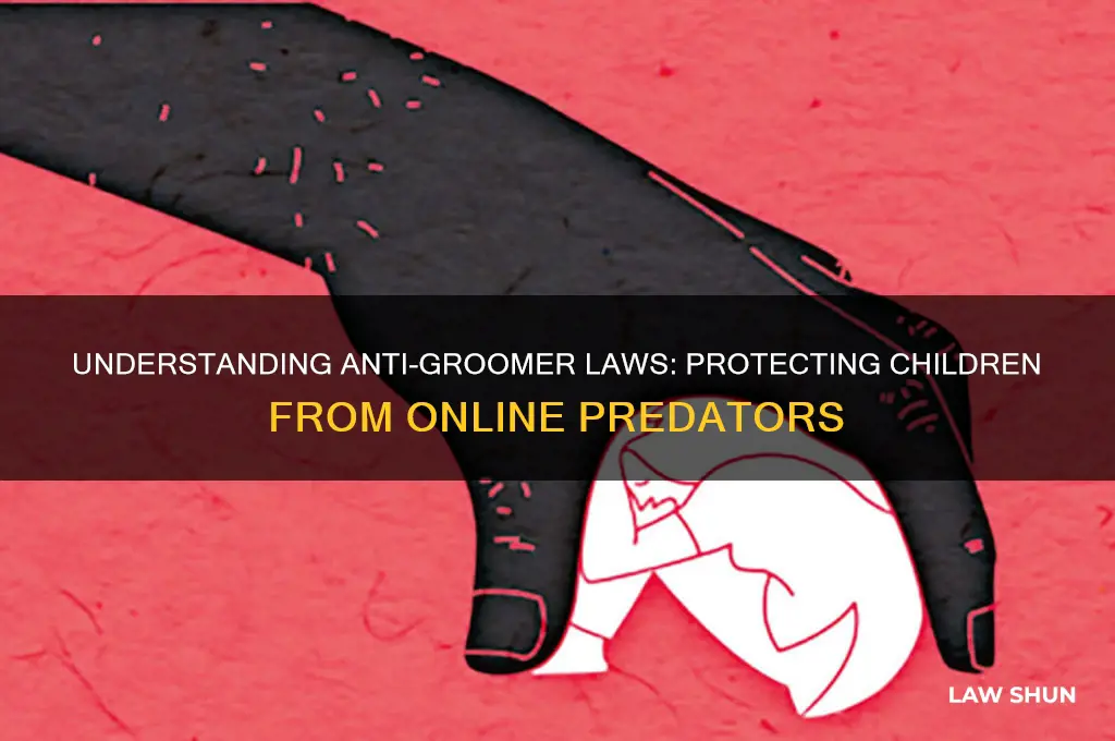 what is anti groomer law