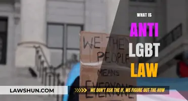 Understanding Anti-LGBTQ+ Laws: Impact, History, and Global Perspectives