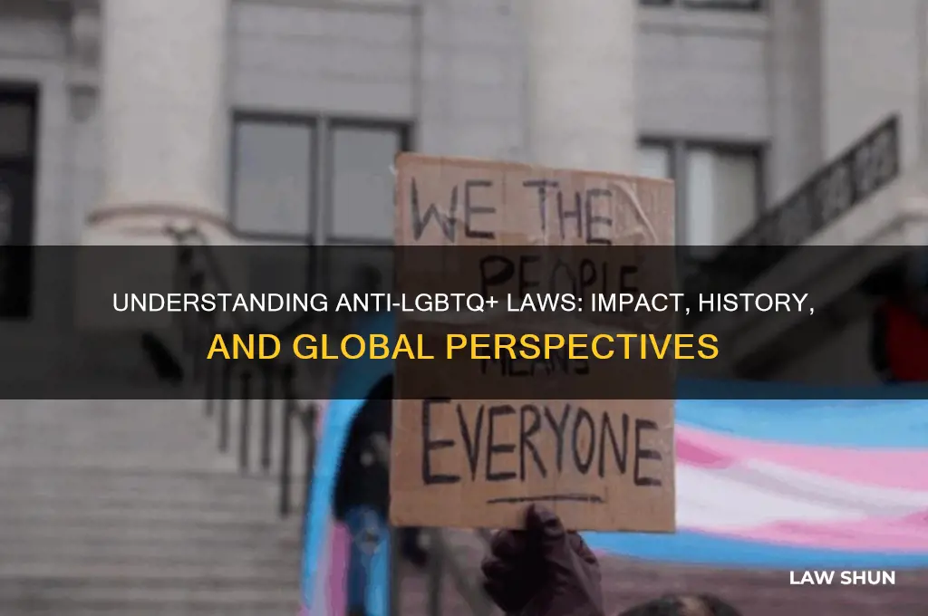 what is anti lgbt law