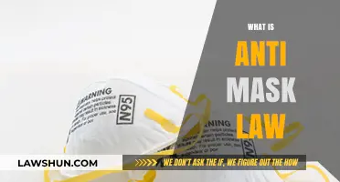 Understanding Anti-Mask Laws: Origins, Enforcement, and Societal Impact Explained