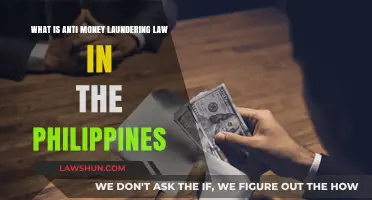 Understanding the Philippines' Anti-Money Laundering Law: Key Provisions and Compliance