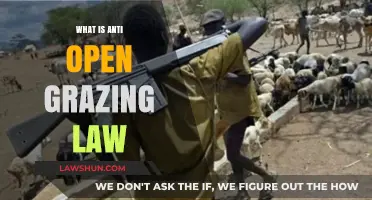 Understanding Anti-Open Grazing Laws: Purpose, Impact, and Implementation Explained