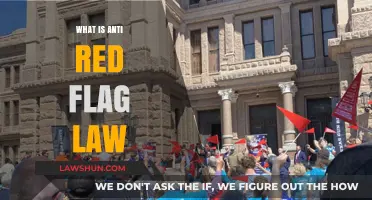 Understanding Anti-Red Flag Laws: Protecting Gun Rights or Public Safety?