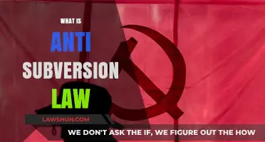 Understanding Anti-Subversion Laws: Purpose, Impact, and Legal Implications