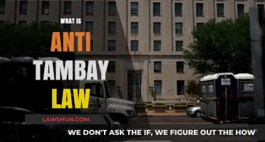 Understanding the Anti-Tambay Law: Purpose, Impact, and Legal Implications