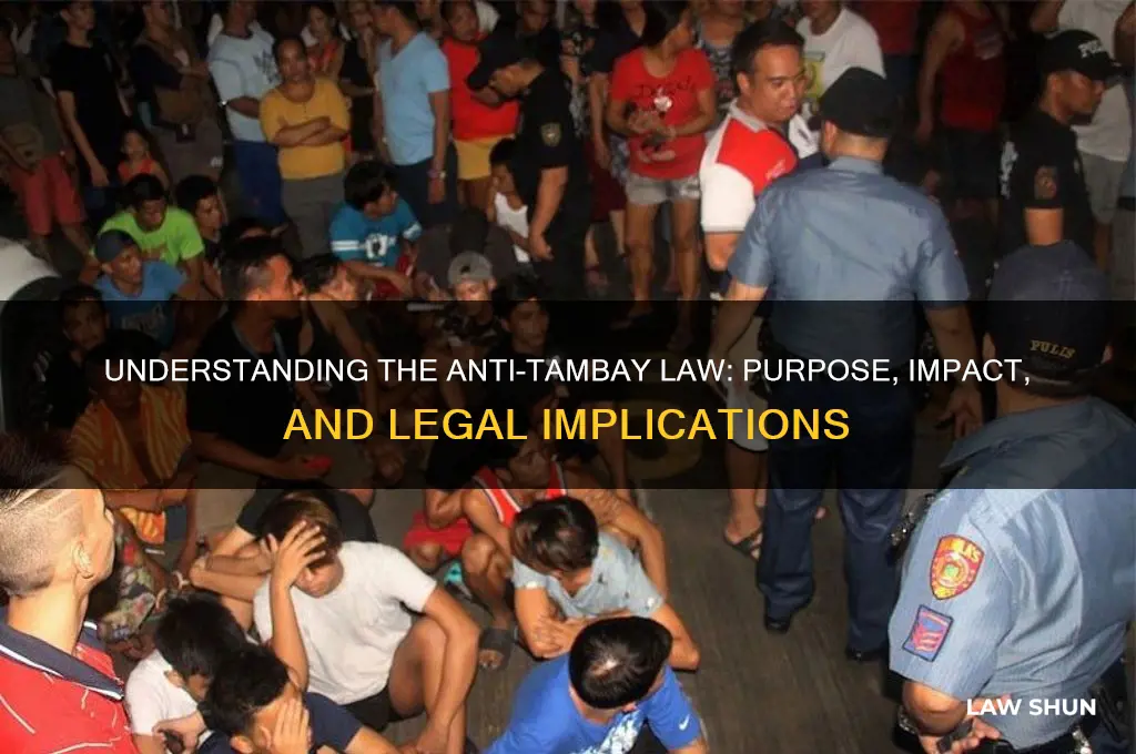 what is anti tambay law