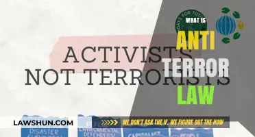 Understanding Anti-Terror Laws: Purpose, Scope, and Global Implications