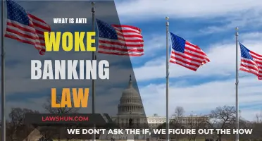 Understanding Anti-Woke Banking Laws: Impact, Controversy, and Future Implications