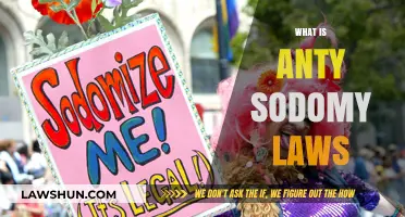Understanding Anti-Sodomy Laws: History, Impact, and Legal Implications