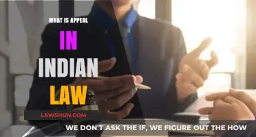 Understanding Appeals in Indian Legal System