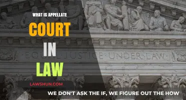 Understanding the Role and Function of Appellate Courts in Law