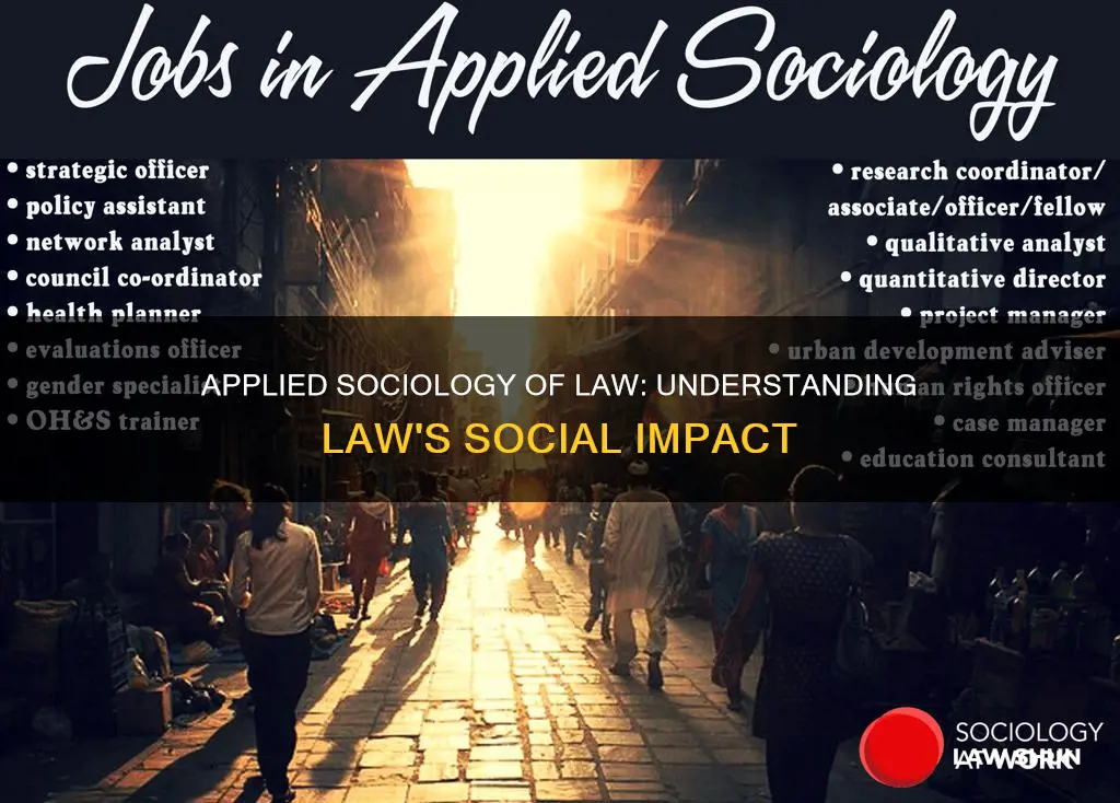 what is applied sociology of law