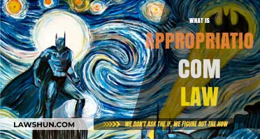 Understanding Appropriation in Commercial Law: Key Concepts and Implications