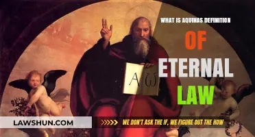 Aquinas' Eternal Law: Understanding Divine Order and Moral Governance