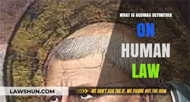 Aquinas' Definition of Human Law: Understanding Its Purpose and Limits
