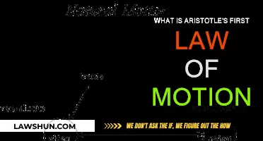 Aristotle's First Law of Motion: Objects and Their Natural States