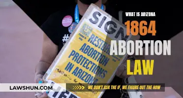 Arizona's 1864 Abortion Law: A Historical Overview